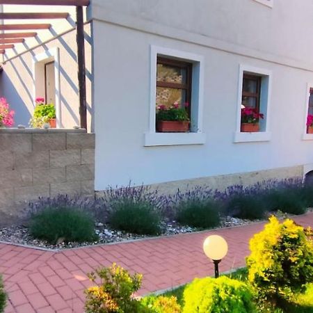 Wellness Apartman Bela Ντέτσιν Εξωτερικό φωτογραφία