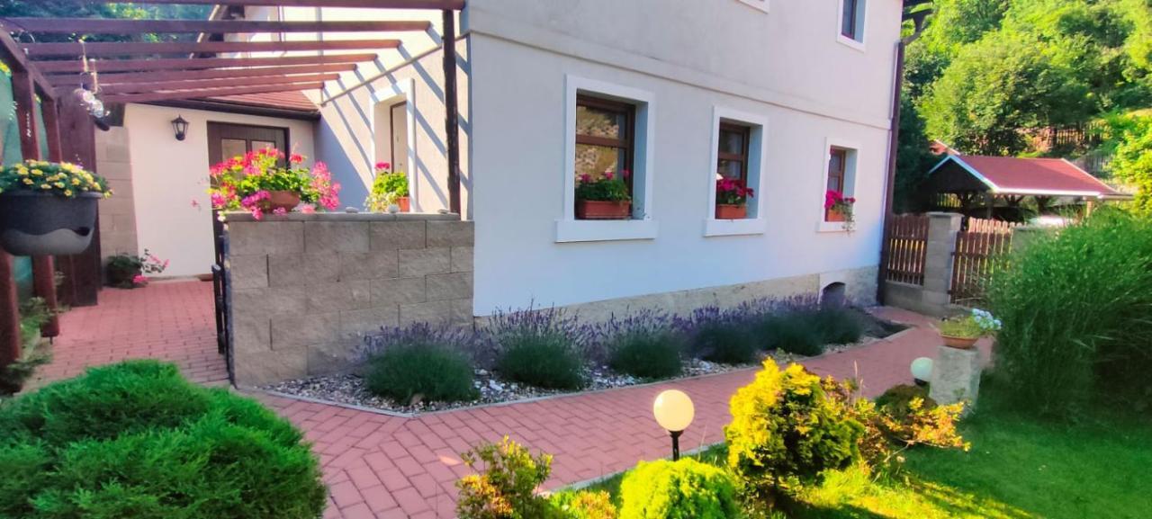 Wellness Apartman Bela Ντέτσιν Εξωτερικό φωτογραφία